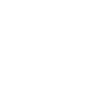 Alligator