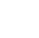 Anteater