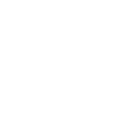Armadillo
