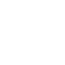 Beaver