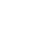 Buffalo