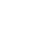 Capybara