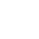 Dingo