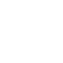 Ferret