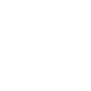 Iguana