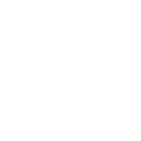Lemur