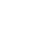 Narwhal
