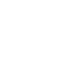 Orangutan