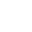Raccoon