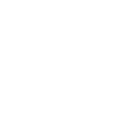 Skunk