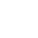 Walrus