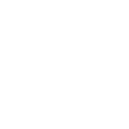 Wombat